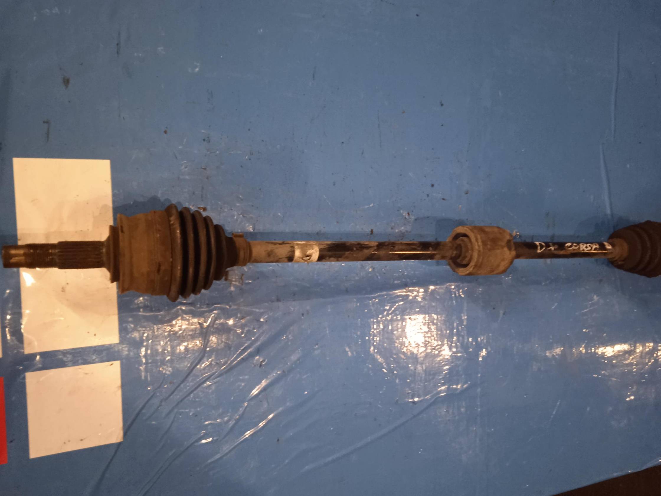 Semialbero ant. compl. dx.